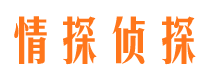 琼结市私人侦探